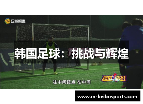 韩国足球：挑战与辉煌