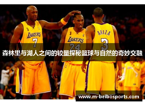 森林里与湖人之间的较量探秘篮球与自然的奇妙交融
