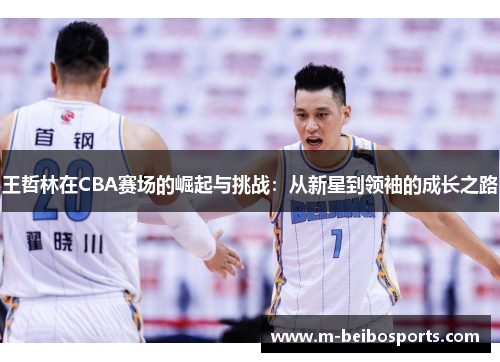 王哲林在CBA赛场的崛起与挑战：从新星到领袖的成长之路